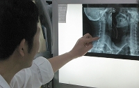 fang study radiology